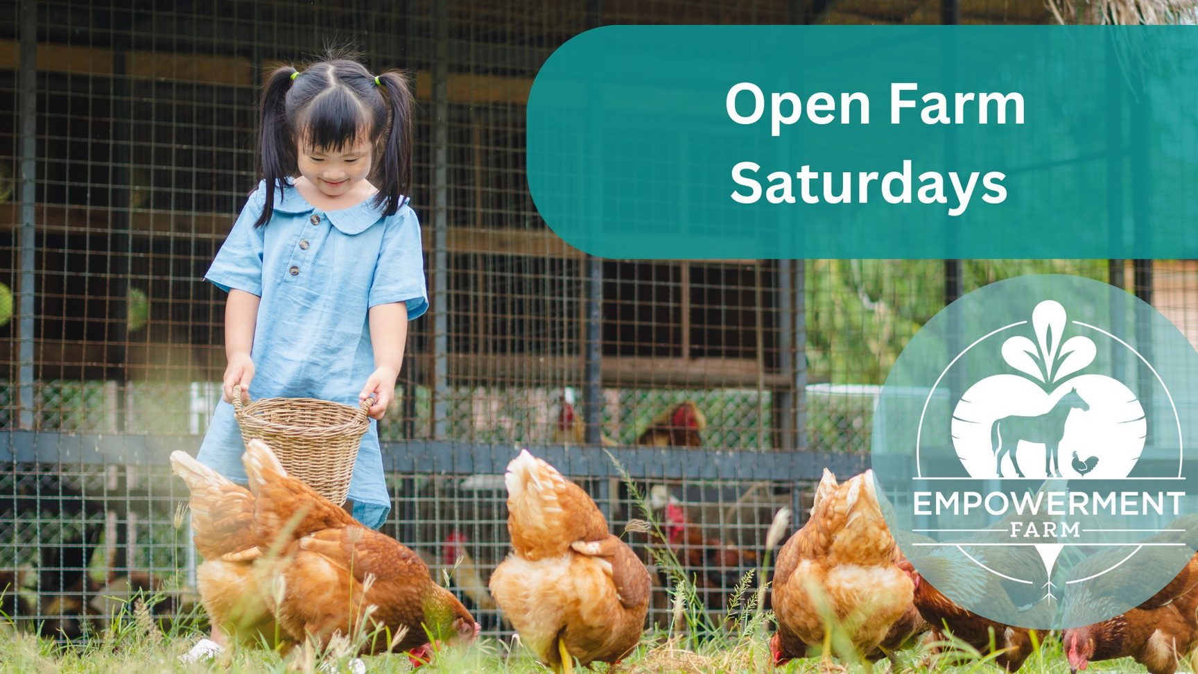 Farm 88 Second Saturdays Open Farm | Visit Naples
